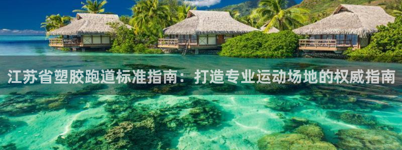 红足一1世官网足球推荐真人：江苏省塑胶跑道标准指南：打造专业运动场地的权威指南