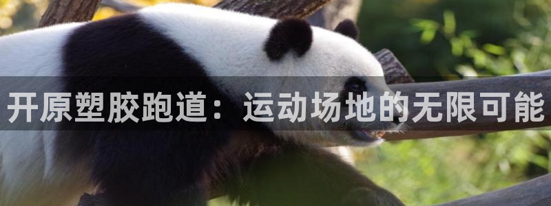 红足一1世官网比分：开原塑胶跑道：运动场地的无限可能
