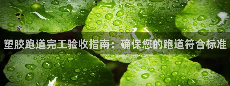 666814红·足一世比分：塑胶跑道完工验收指南：确保您的跑道符合标准