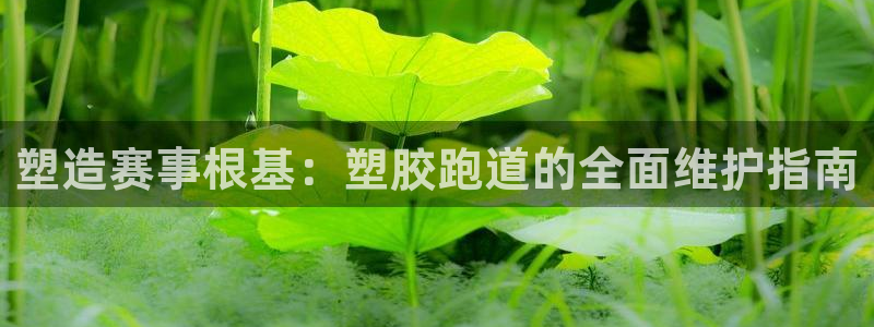红足1世足球比分网址：塑造赛事根基：塑胶跑道的全面维护指南