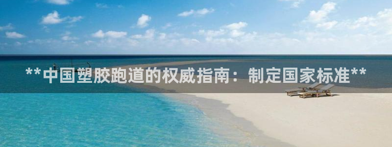 百度红足一1使用说明：**中国塑胶跑道的权威指南：制定国家标准**
