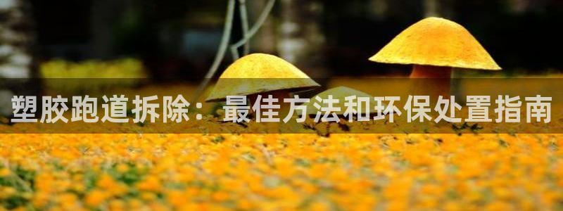4633333开奖结果4176一点红：塑胶跑道拆除：最佳方法和环保处置指南