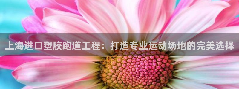 333814红·足一世比分