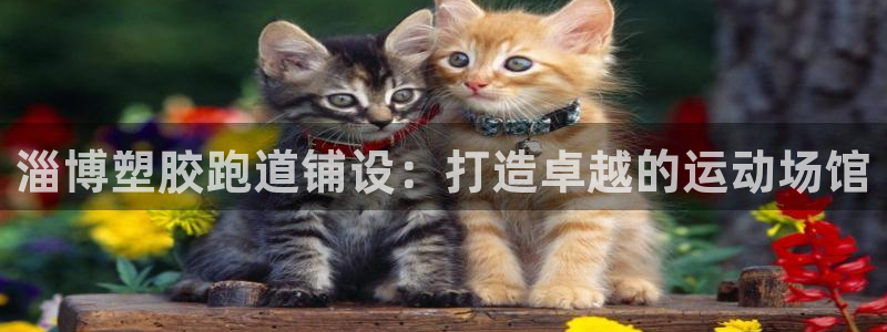 红足一1世：淄博塑胶跑道铺设：打造卓越的运动场馆