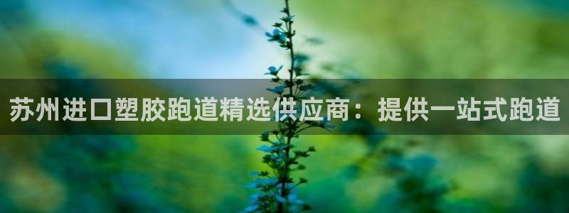 666814红·足一世比分：苏州进口塑胶跑道精选供应商：提供一站式跑道
