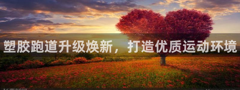 新2足球平台出租网站：塑胶跑道升级焕新，打造优质运动环境