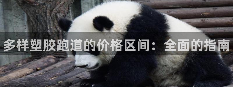 红足体育网：多样塑胶跑道的价格区间：全面的指南