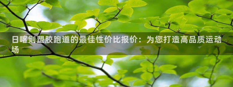 红足一1世平台：日喀则塑胶跑道的最佳性价比报价：为您打造高品质运动
场