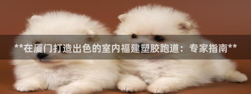 红足一1世66814：**在厦门打造出色的室内福建塑胶跑道：专家指南**