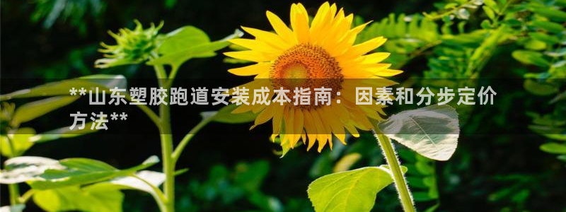 红足一1世官网比分：**山东塑胶跑道安装成本指南：因素和分步定价
方法**