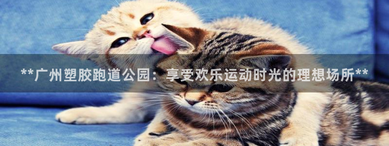 红足一1世手机版赛果：**广州塑胶跑道公园：享受欢乐运动时光的理想场所**