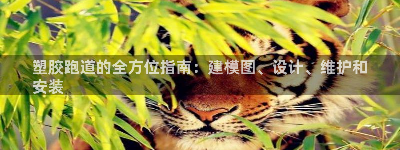 新2足球平台出租网站：塑胶跑道的全方位指南：建模图、设计、维护和
安装