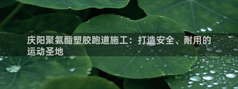 红足一1世手机版赛果：庆阳聚氨酯塑胶跑道施工：打造安全、耐用的
运动圣地