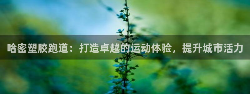 百度红足一1世