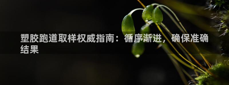 红足一1世666814最新结果