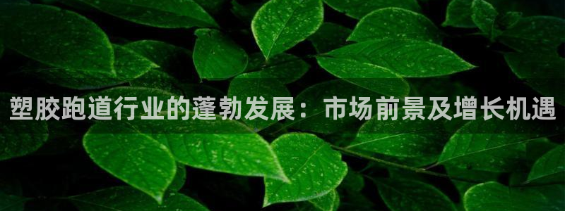红足1世足球网址大全：塑胶跑道行业的蓬勃发展：市场前景及增长机遇