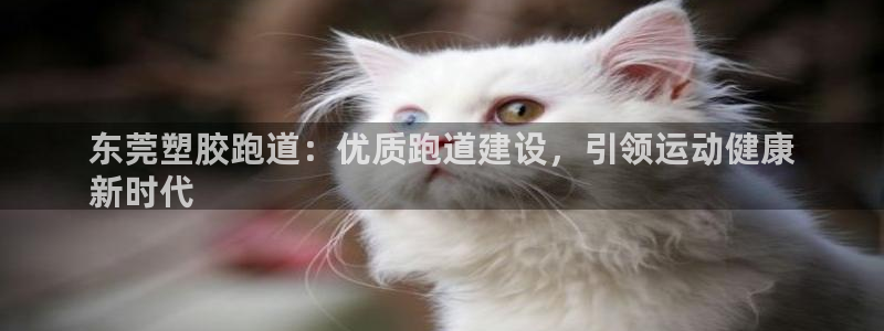 红足1世足球比分网址：东莞塑胶跑道：优质跑道建设，引领运动健康
新时代