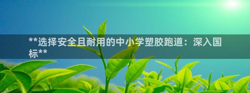 66814红足：**选择安全且耐用的中小学塑胶跑道：深入国
标**