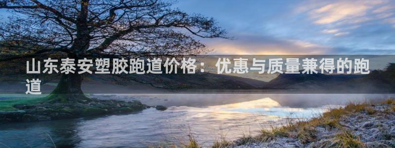 红足一1世皇冠：山东泰安塑胶跑道价格：优惠与质量兼得的跑
道