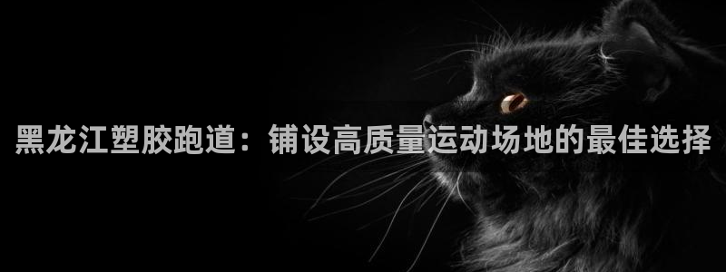 777814红·足一世比分：黑龙江塑胶跑道：铺设高质量运动场地的最佳选择