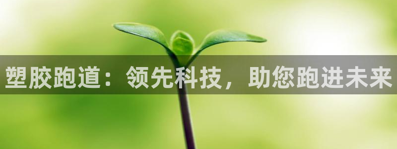 红足一1世比分：塑胶跑道：领先科技，助您跑进未来
