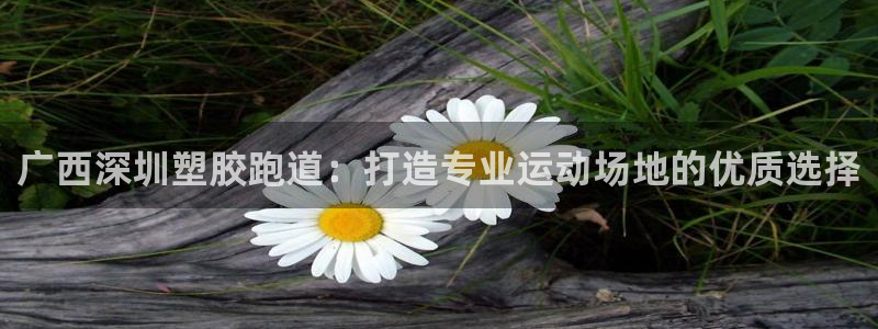 红姐现场直播开奖记录：广西深圳塑胶跑道：打造专业运动场地的优质选择
