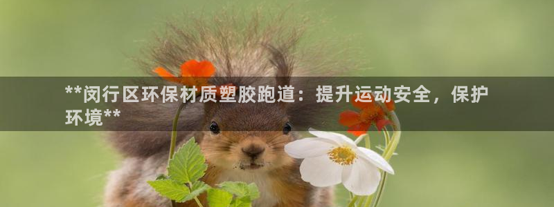 红足一比分网：**闵行区环保材质塑胶跑道：提升运动安全，保护
环境**