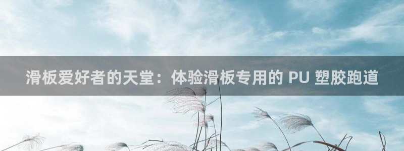 红足一生世：滑板爱好者的天堂：体验滑板专用的 PU 塑胶跑道