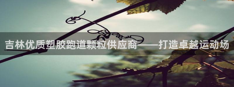 红足一1世官网：吉林优质塑胶跑道颗粒供应商——打造卓越运动场