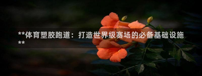 333814红·足一世比分