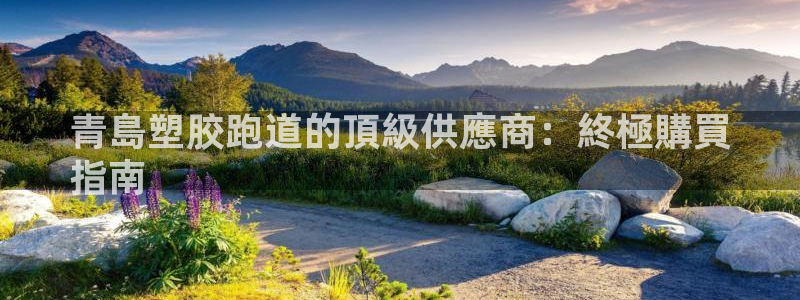 红足一1世即时比分：青島塑胶跑道的頂級供應商：終極購買
指南