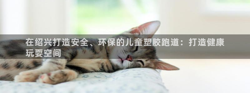 红足1世1站：在绍兴打造安全、环保的儿童塑胶跑道：打造健康
玩耍空间