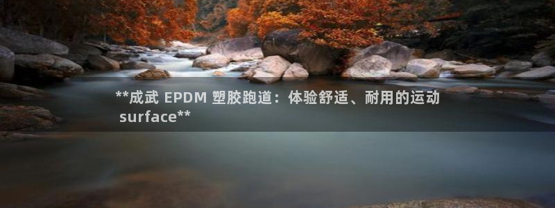 红足一1世66814新宝：**成武 EPDM 塑胶跑道：体验舒适、耐用的运动
 surface**