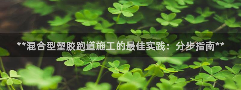 红足一1世66814新宝：**混合型塑胶跑道施工的最佳实践：分步指南**