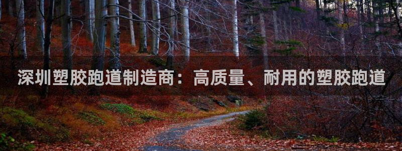 红足1世足球网址大全：深圳塑胶跑道制造商：高质量、耐用的塑胶跑道
