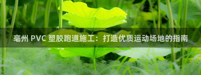 百度红足一1是什么样子的