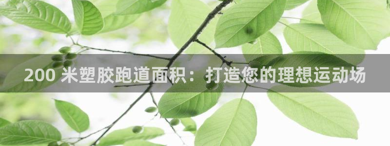 77814红足1世：200 米塑胶跑道面积：打造您的理想运动场