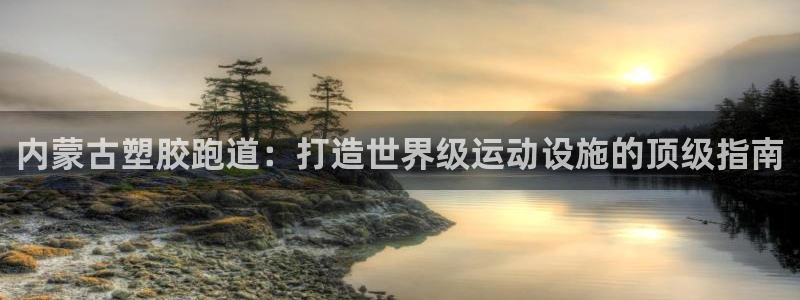 百度红足一1是干什么的：内蒙古塑胶跑道：打造世界级运动设施的顶级指南
