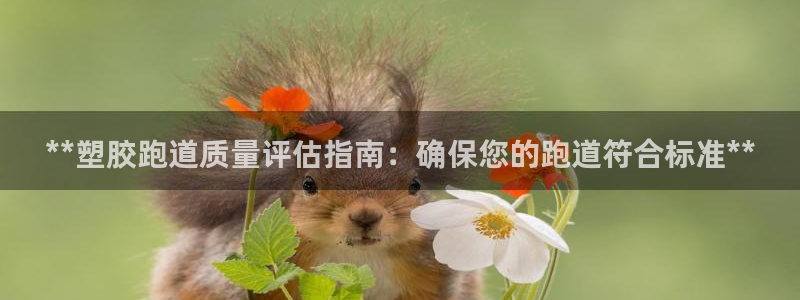77814红足1世：**塑胶跑道质量评估指南：确保您的跑道符合标准**