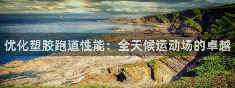 44814红足：优化塑胶跑道性能：全天候运动场的卓越