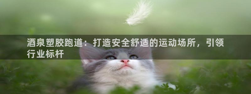 红足一1世官网比分：酒泉塑胶跑道：打造安全舒适的运动场所，引领
行业标杆