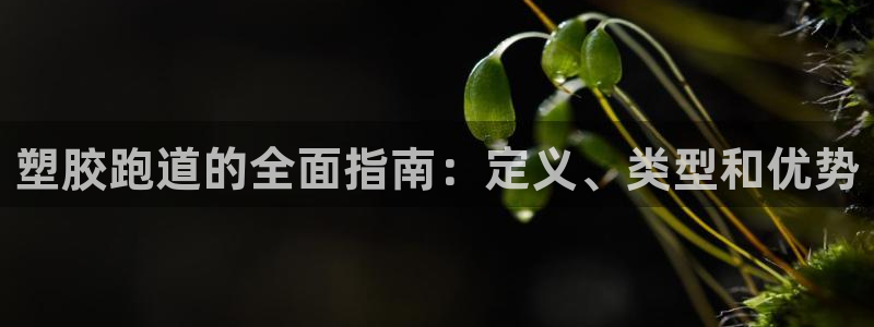 777814红·足一世：塑胶跑道的全面指南：定义、类型和优势