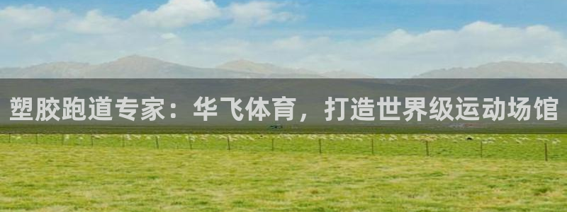 红足一1世77814：塑胶跑道专家：华飞体育，打造世界级运动场馆