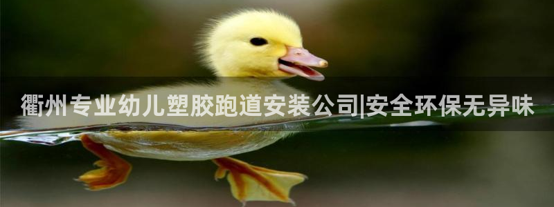 红足1世开奖预测：衢州专业幼儿塑胶跑道安装公司|安全环保无异味