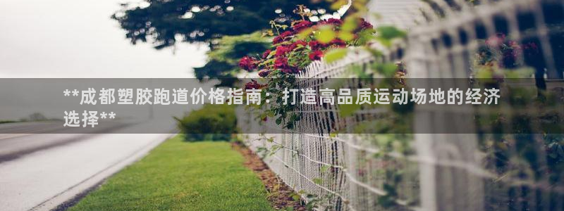 777814红·足一世：**成都塑胶跑道价格指南：打造高品质运动场地的经济
选择**
