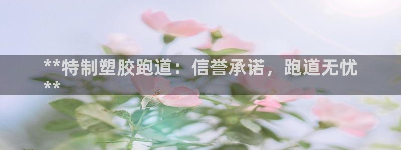 百度红足一1使用说明：**特制塑胶跑道：信誉承诺，跑道无忧
**