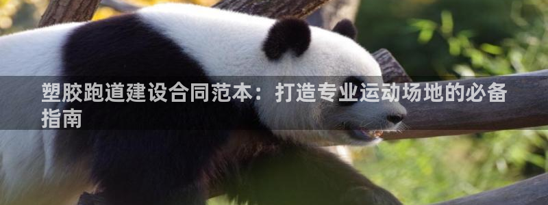 红足1世手足球比分：塑胶跑道建设合同范本：打造专业运动场地的必备
指南