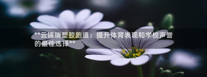 红足 世足球手机网：**云锦瑞塑胶跑道：提升体育表现和学校声誉
的最佳选择**