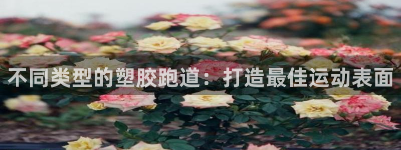 红足一1世：不同类型的塑胶跑道：打造最佳运动表面
