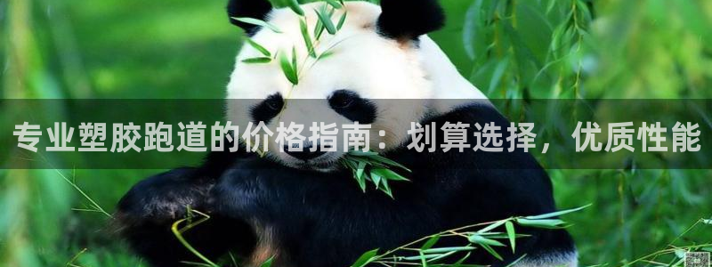 红足一生世：专业塑胶跑道的价格指南：划算选择，优质性能